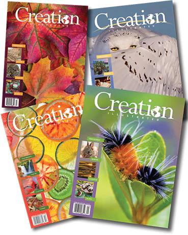 Welcome to Our Store